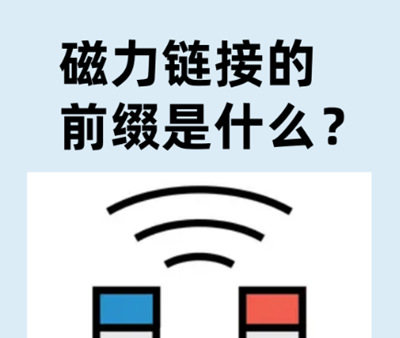 磁力链接是由什么组成的？